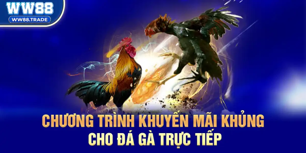 Chương Trình Khuyến Mãi Khủng Cho Đá Gà Trực Tiếp